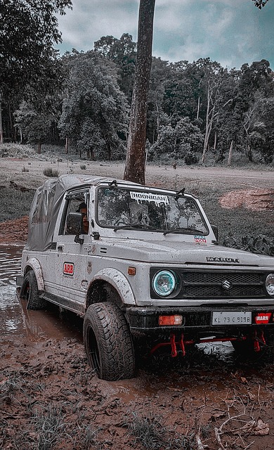 以往更为全 以往更为全