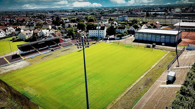 们一些启示 们一些启示