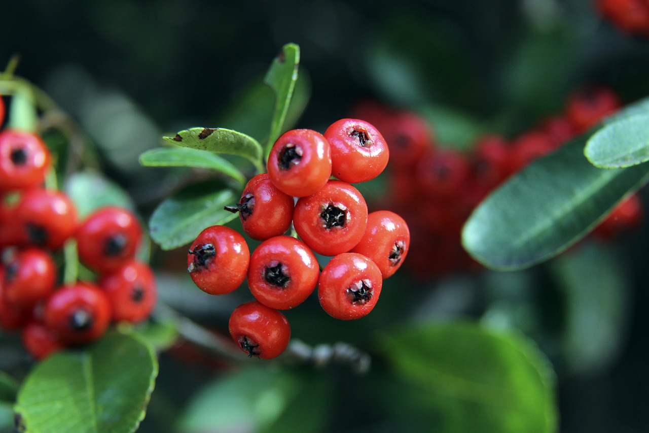 西班牙知名 西班牙知名