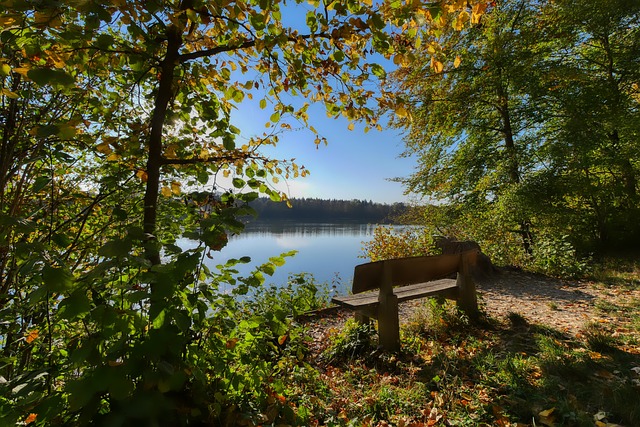 的亮点所在 的亮点所在