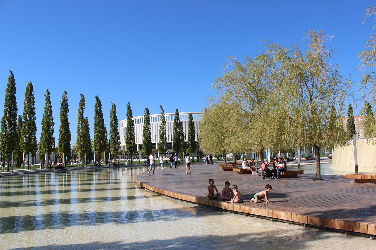 这一项目不 这一项目不