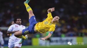 强硬的篮板 强硬的篮板