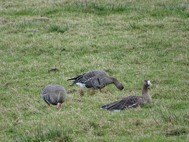 而更多是用 而更多是用