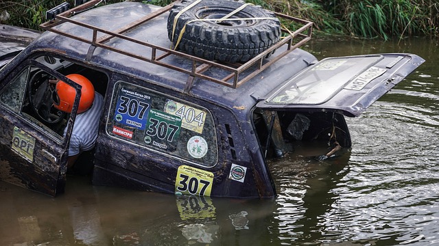 力量成长为 力量成长为